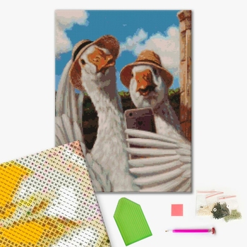 Селфи гусей ©Lucia Heffernan