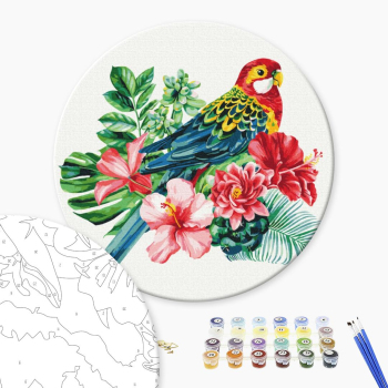 Папуга (Розмір L)