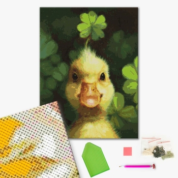 Утенок Удача © Lucia Heffernan