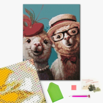 Милые Ламы ©Lucia Heffernan