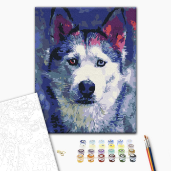 Картина по номерам Тварини, птахи та риби - Погляд Хаскі