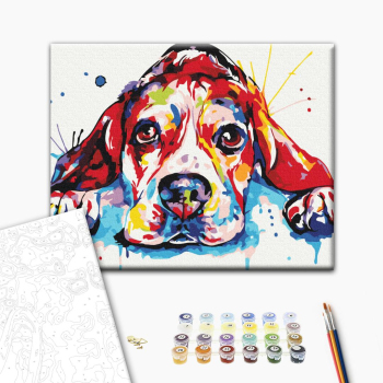 Радужный любимец