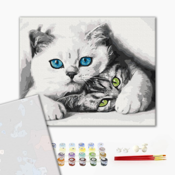 Картина по номерам Преміум картини - Муркотики