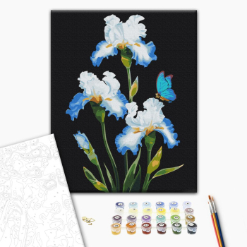 Ирисы Анны © Стешенко