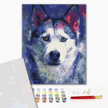 Картина по номерам Преміум картини - Погляд Хаскі