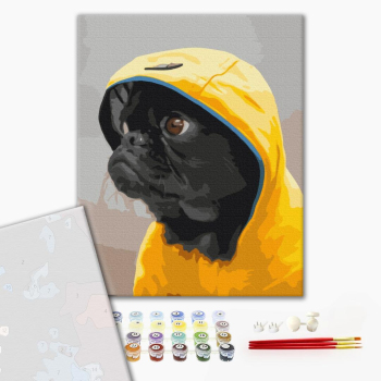 Картина по номерам Преміум картини - Мопс в худі