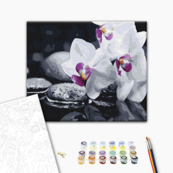 Цветы дзена