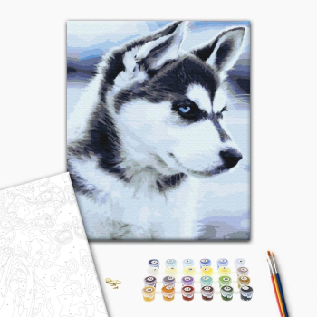 Картина по номерам Тварини, птахи та риби - Щенок Хаски