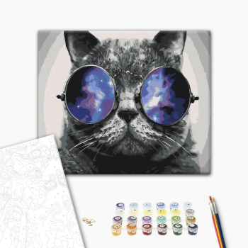 Котик на Маями