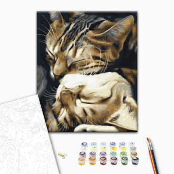 Картина по номерам Тварини, птахи та риби - Сплячі котики