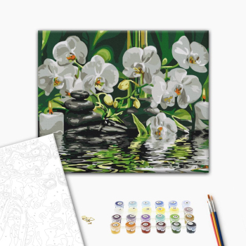 Картина по номерам Натюрморти - Спокій біля орхідей