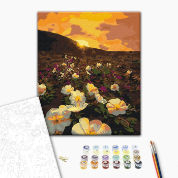 Цветы солнца