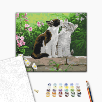 Картина по номерам Тварини, птахи та риби - Пара котят