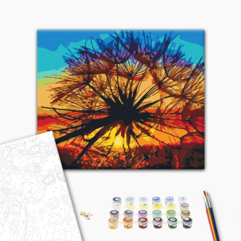 Картина по номерам Квіти - Кульбабка на заході літа