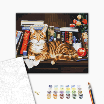 Картина по номерам Тварини, птахи та риби - Кот на книжной полке