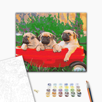 Картина по номерам Тварини, птахи та риби - Мопси