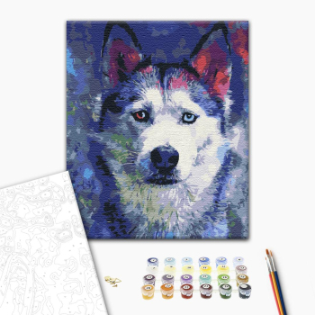 Картина по номерам Тварини, птахи та риби - Погляд Хаскі