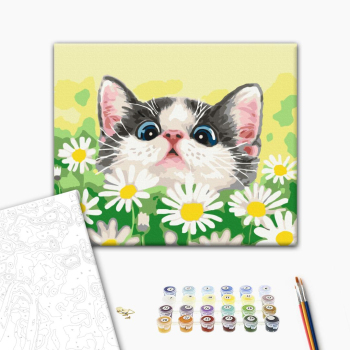 Картина по номерам Тварини, птахи та риби - Котик в ромашках
