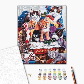 Забавные котята