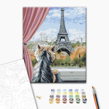 Париж из окна