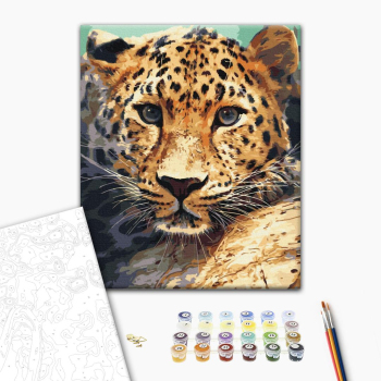 Картина по номерам Тварини, птахи та риби - Портрет леопарда