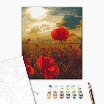 Маки под палящим солнцем