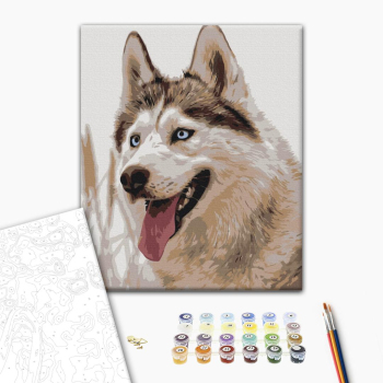 Картина по номерам Тварини, птахи та риби - Сіроманець