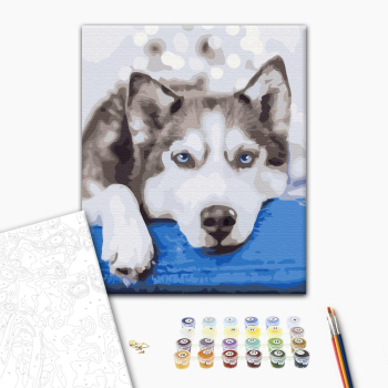 Картина по номерам Тварини, птахи та риби - Хаски в ожидании