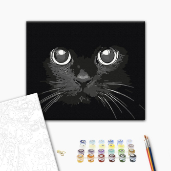 Взгляд ночи