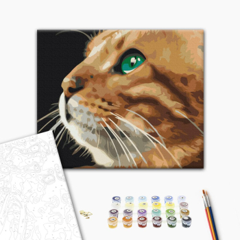 Картина по номерам Тварини, птахи та риби - Погляд рижулі