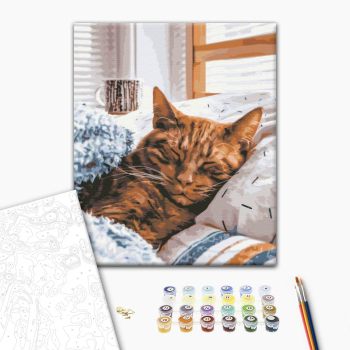 Утренний котик