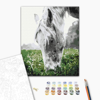 Картина по номерам Тварини, птахи та риби - Cіра конячка