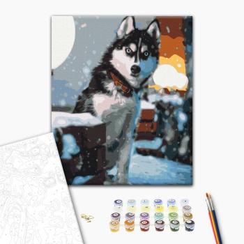 Картина по номерам Тварини, птахи та риби - Допитливий хаскі