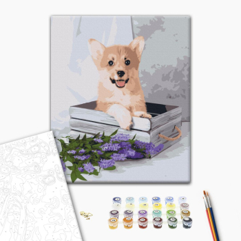 Картина по номерам Тварини, птахи та риби - Грайливий коргі