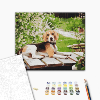 Картина по номерам Тварини, птахи та риби - Довговухий друг