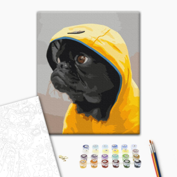 Картина по номерам Тварини, птахи та риби - Мопс в худі