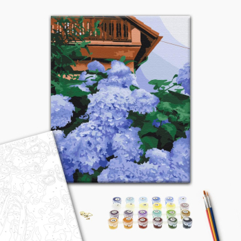 Гортензия у дома