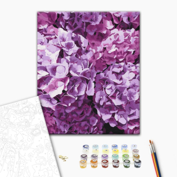 Красота гортензий