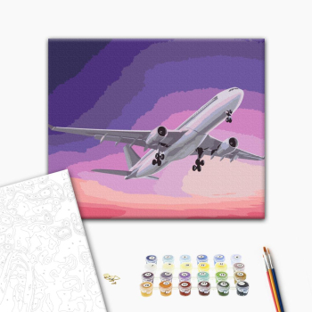 Самолет в небе