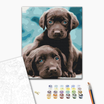 Голубоглазые щенки