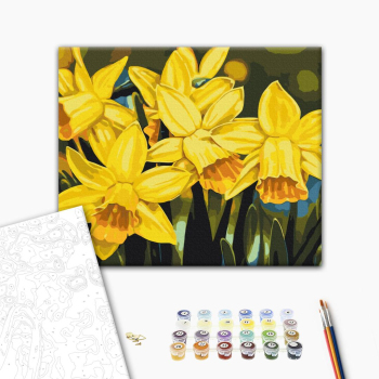 Картина по номерам Квіти - Нарциси © Anastasiia Osmolovska