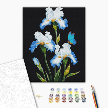 Ирисы Анны © Стешенко