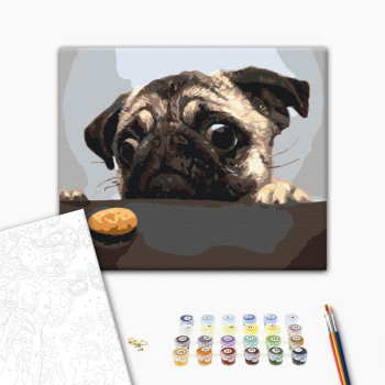 Картина по номерам Тварини, птахи та риби - Мопс