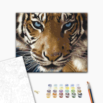 Картина по номерам Тварини, птахи та риби - Взгляд тигра