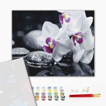 Картина по номерам Преміум картини - Квіти дзену