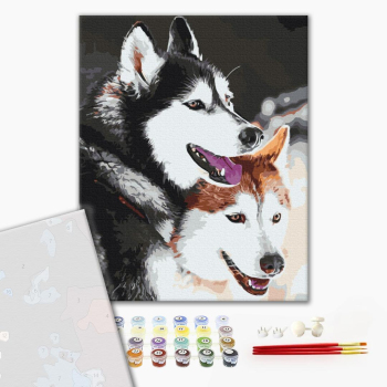 Картина по номерам Преміум картини - Хаскі