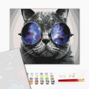 Картина по номерам Преміум картини - Котик на Маямі