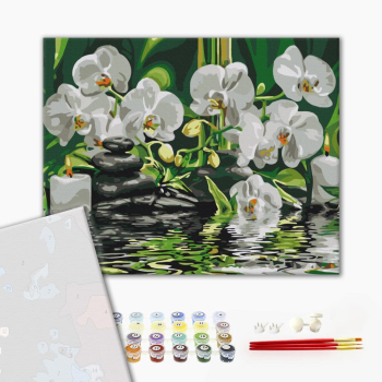 Картина по номерам Преміум картини - Спокій біля орхідей