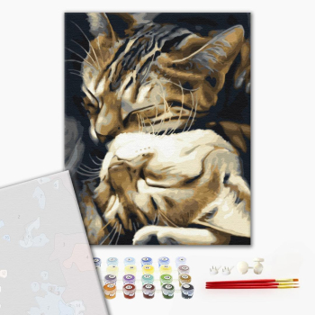 Картина по номерам Преміум картини - Сплячі котики