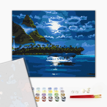 Картина по номерам Преміум картини - Місячна ніч